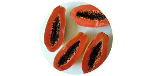 Papaya (FA)